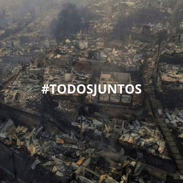 Ayuda solidaria sur de Chile