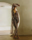 DRESS NAKED WILD